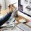 Logo Design – Everything You Need to Know